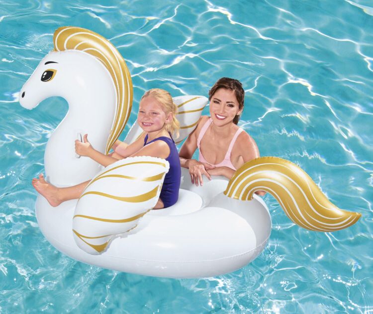 pony con alas 159 x 109 cm